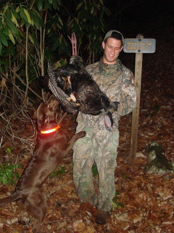 Turkey Dog News Stories